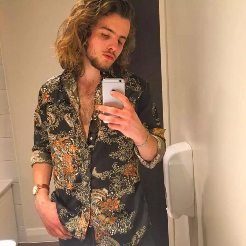 Pandilla emplumada: gaviotas agresivas aterrorizan un área en Devon, irrumpen en apartamentos y roban perros