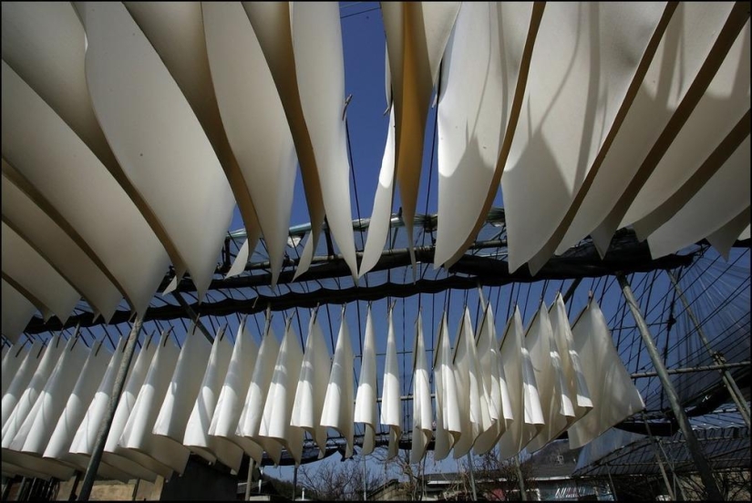 Papel hengzhi coreano Papel hengzhi coreano