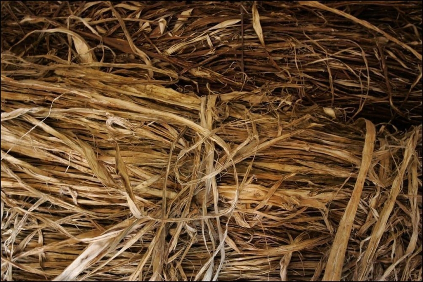 Papel hengzhi coreano Papel hengzhi coreano