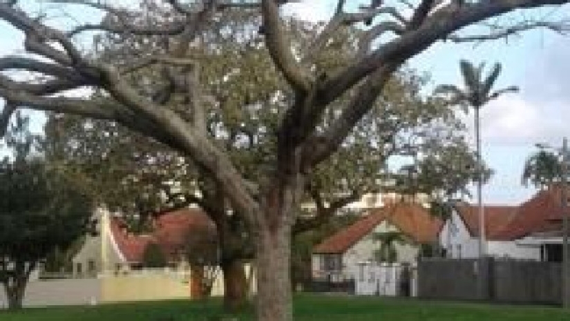 Para proponerle matrimonio a la niña, la australiana reprodujo su lugar favorito de la infancia en realidad virtual Para proponerle matrimonio a la niña, la australiana reprodujo su lugar favorito de la infancia en realidad virtual