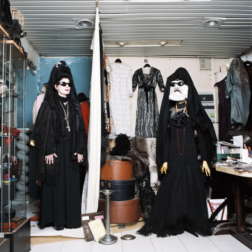 Parisian interiors and their inhabitants