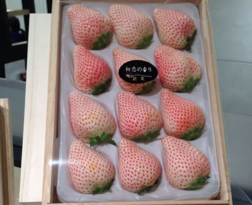 Parking strictly backwards, sleeping at work and other amazing oddities of Japan