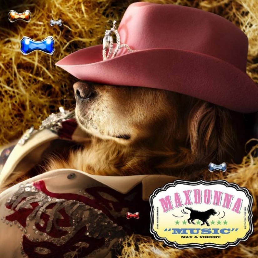 Parodias de Perros Fotos Icónicas de Madonna