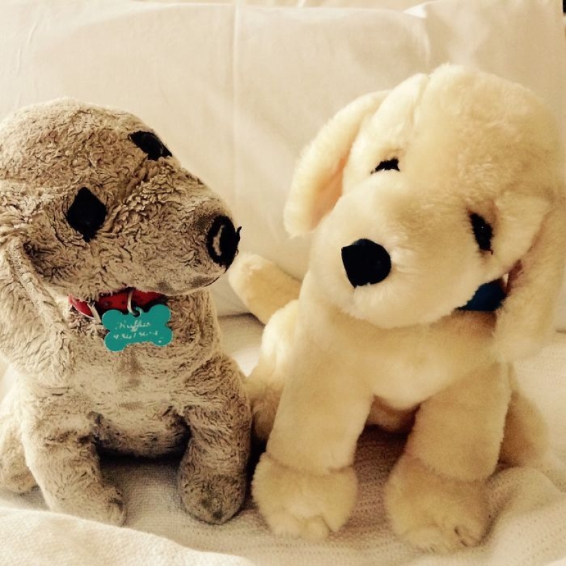 Pasado vs presente: juguetes idénticos con una diferencia de edad de más de 25 años