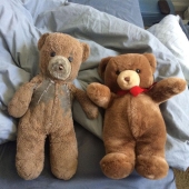 Past vs present: identical toys with an age difference of more than 25 years