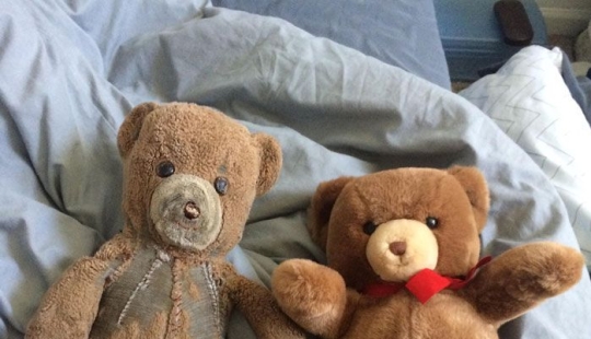 Past vs present: identical toys with an age difference of more than 25 years