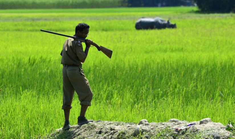 People are being killed in an Indian park to save rhinos
