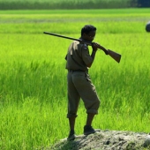 People are being killed in an Indian park to save rhinos