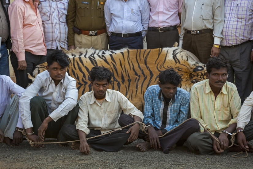 People are being killed in an Indian park to save rhinos