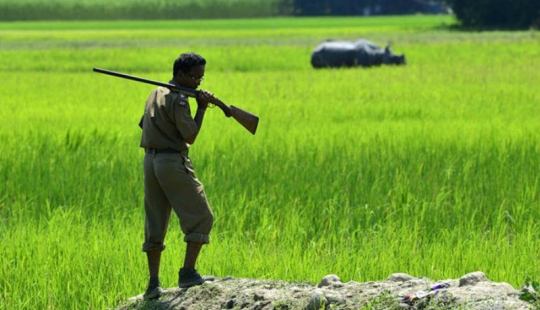 People are being killed in an Indian park to save rhinos
