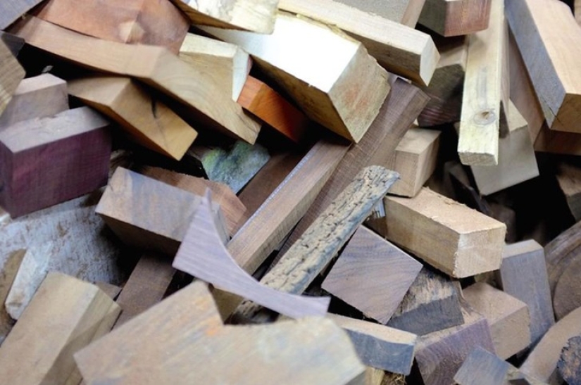 Perfect minimalism: cute little animals that amaze with their elegance