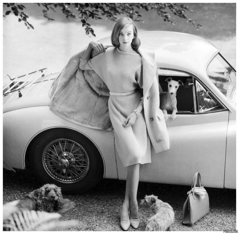 Perla de la dinastía de las bellezas escandinavas: Nena von Schlebrugge, madre de Uma Thurman Perla de la dinastía de las bellezas escandinavas: Nena von Schlebrugge, madre de Uma Thurman