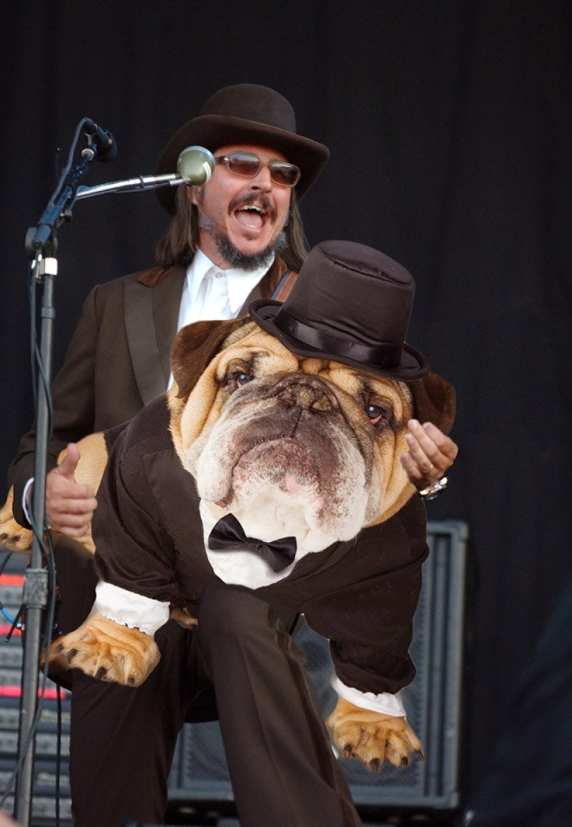 Perros en lugar de guitarras Perros en lugar de guitarras