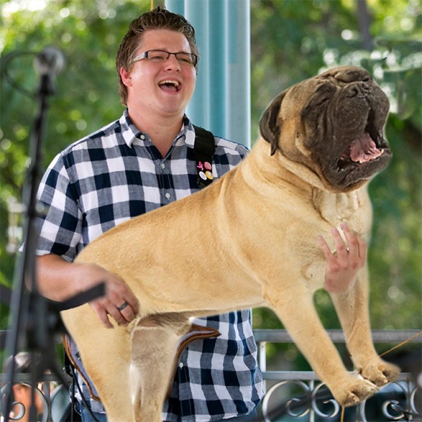 Perros en lugar de guitarras Perros en lugar de guitarras