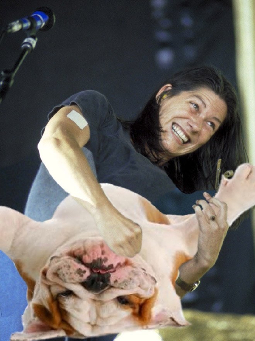 Perros en lugar de guitarras Perros en lugar de guitarras