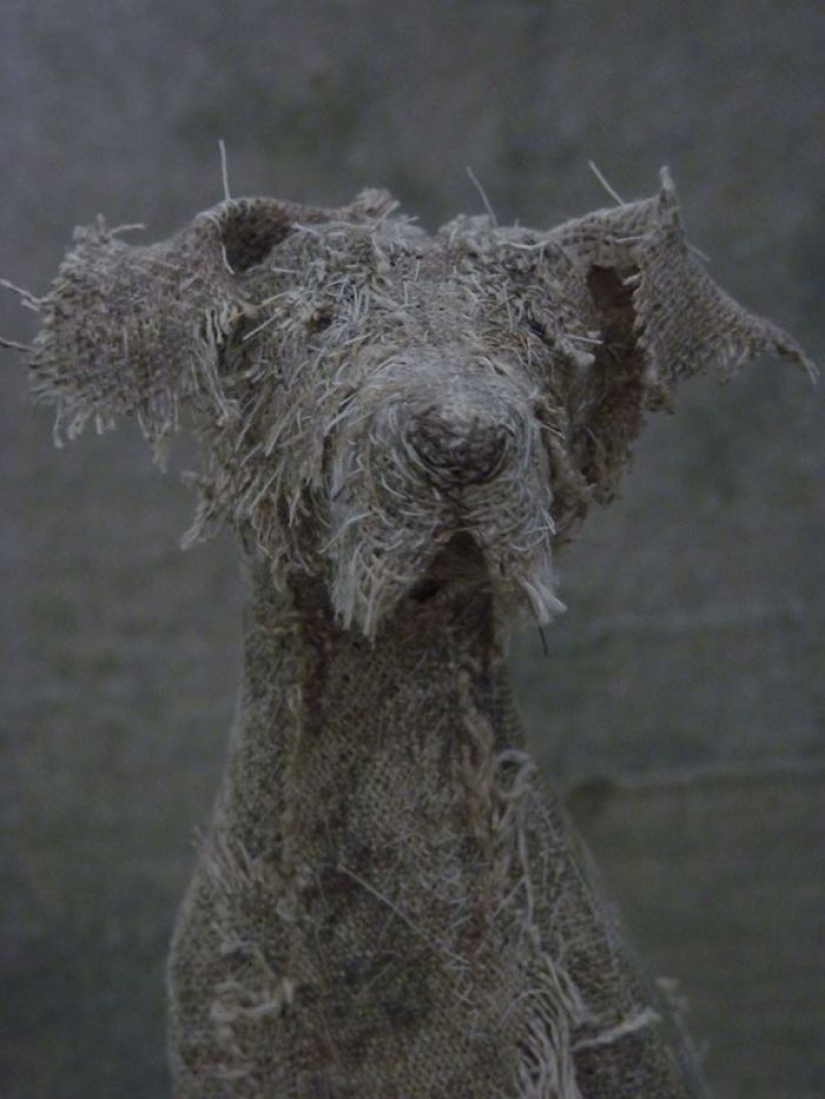 Perros tristes de... trapos viejos Perros tristes de... trapos viejos