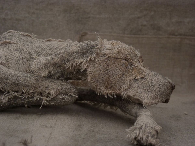 Perros tristes de... trapos viejos Perros tristes de... trapos viejos