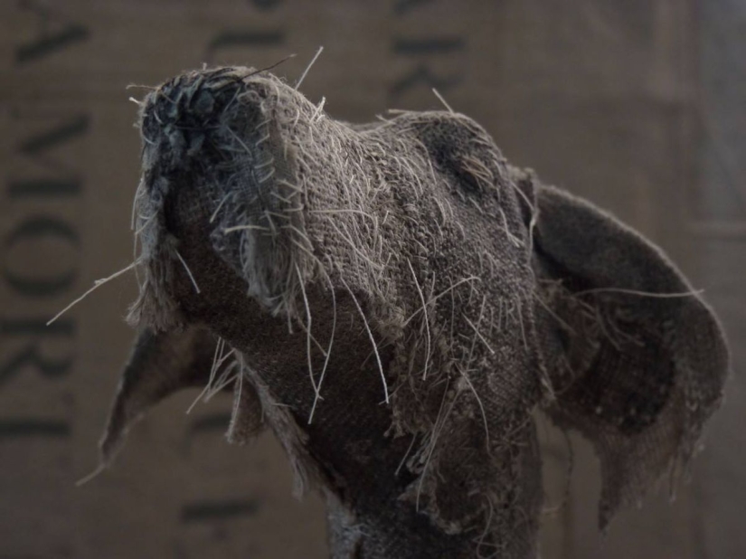 Perros tristes de... trapos viejos Perros tristes de... trapos viejos