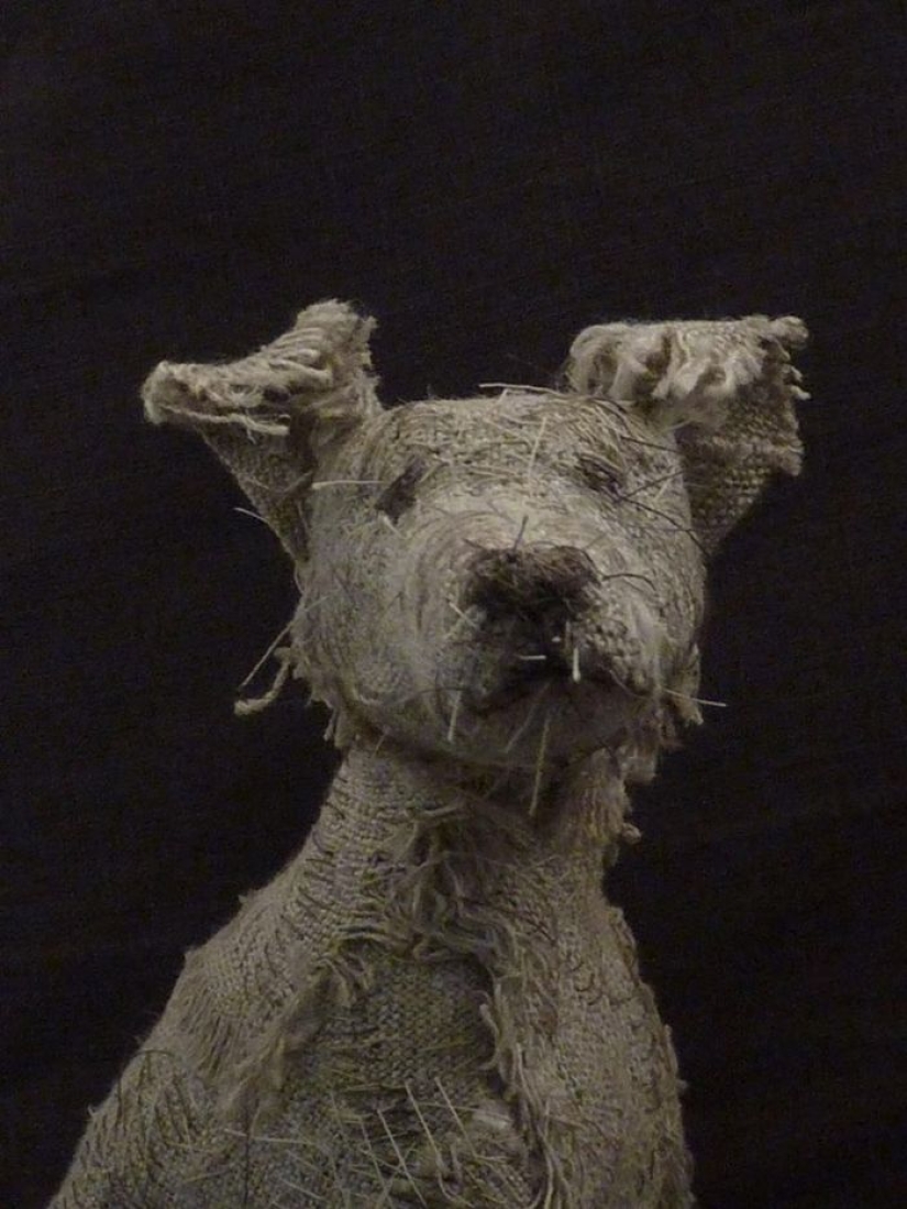 Perros tristes de... trapos viejos Perros tristes de... trapos viejos