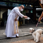 Pet weddings highlight animal blessing ceremony in the Philippines