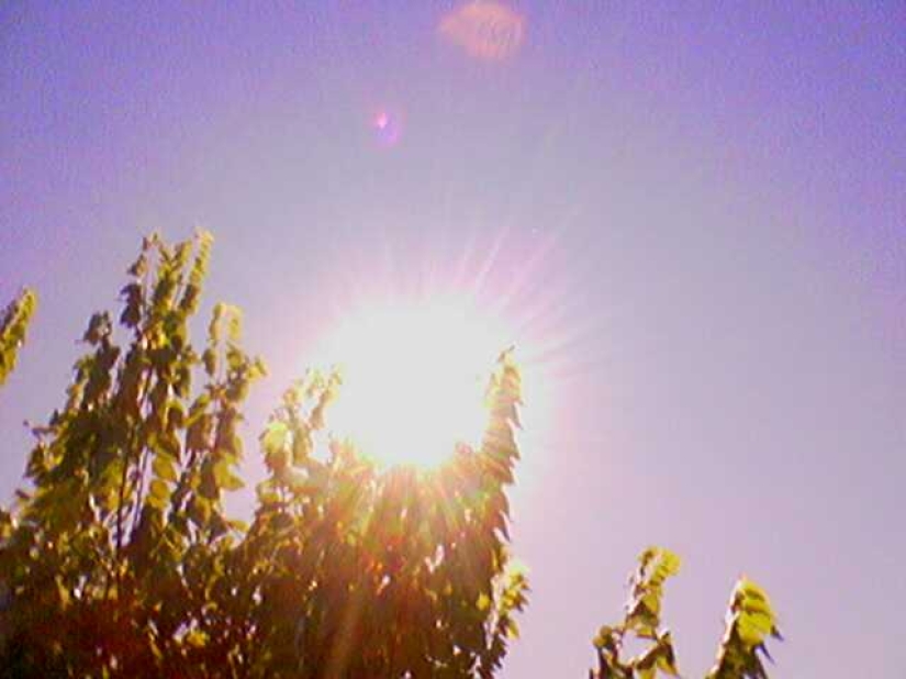 Photo downshifting: a Muscovite has been shooting with a push-button Siemens for three years, and people like it