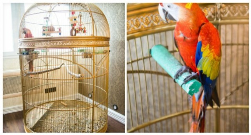 Photo of the Yekaterinburg company's office, which looks more like a palace