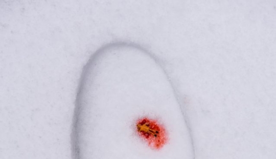 Photographer uses everyday objects to create tiny worlds