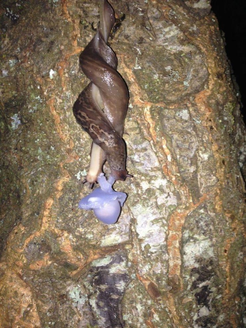 Photos of amazing things that you can see once in a lifetime Photos of amazing things that you can see once in a lifetime