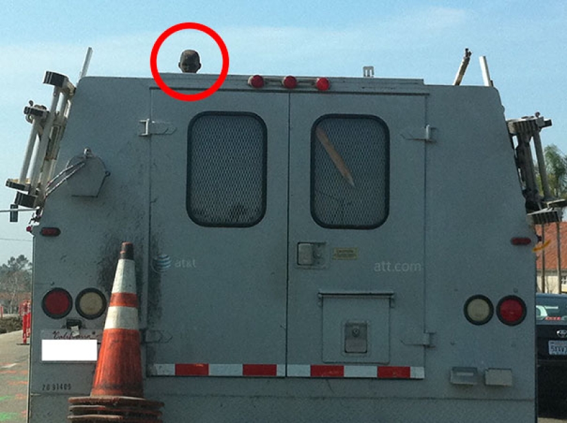 Photos that will bring you to tears if you look closely Photos that will bring you to tears if you look closely