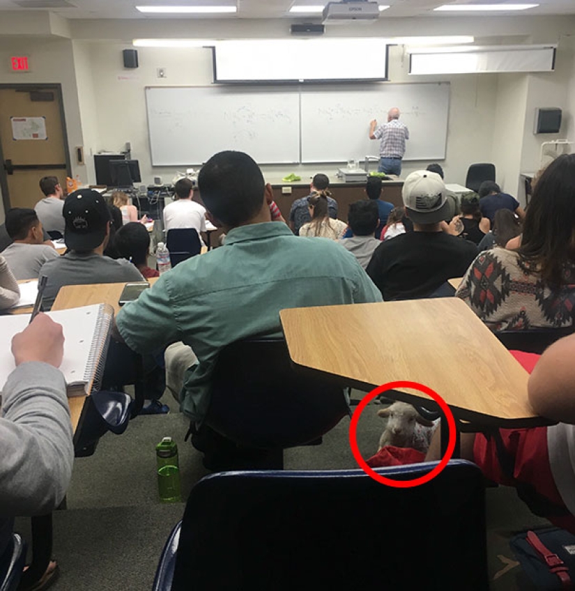 Photos that will bring you to tears if you look closely Photos that will bring you to tears if you look closely