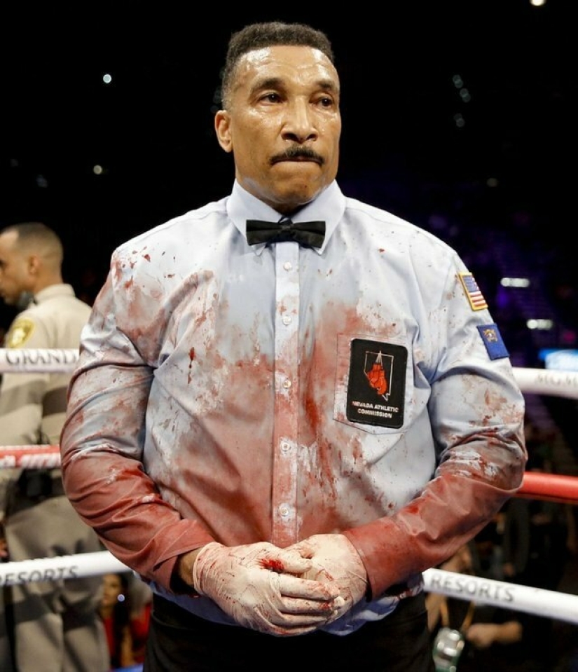 Photoshop battle: the judge after the "bloody" boxing match Photoshop battle: the judge after the "bloody" boxing match