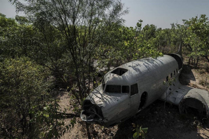 Plane crashes that ended in a happy ending