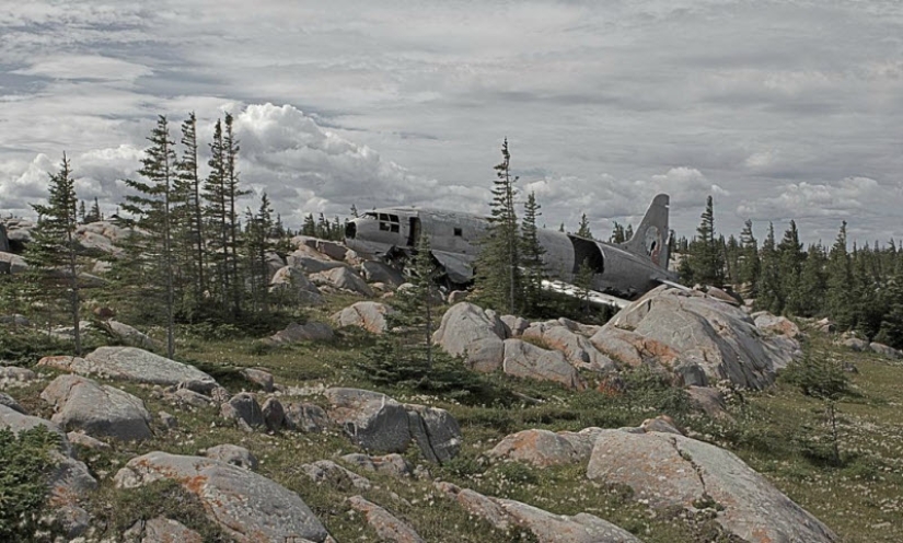 Plane crashes that ended in a happy ending