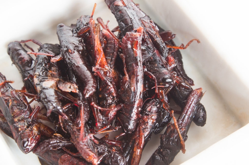 Platos japoneses que te harán perder el apetito