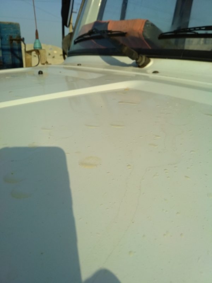 Poisonous Armyansk: the consequences of the release in the Crimea