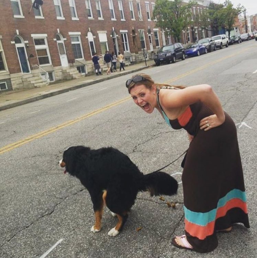 Pooping dogs-2019 : what to give a friend for the New Year