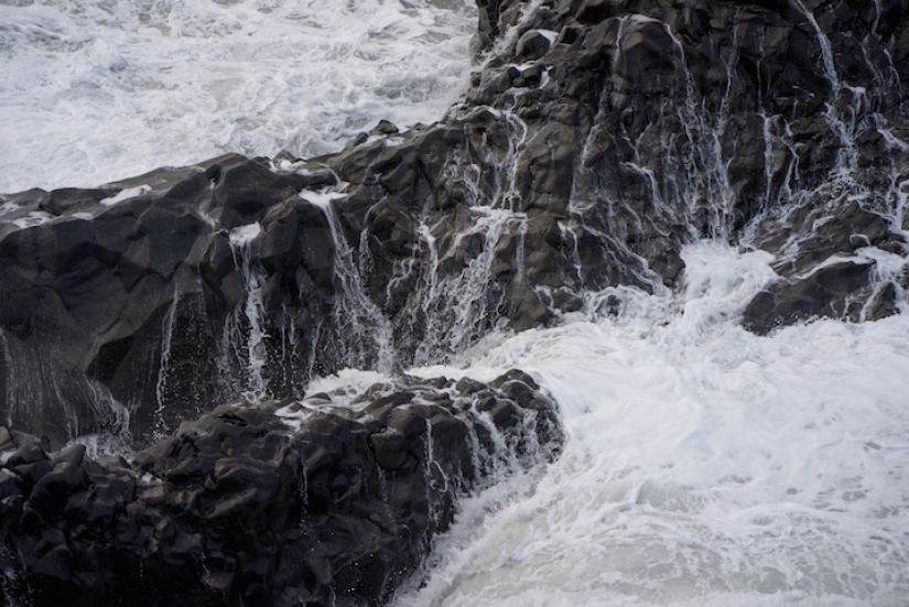 ¿Por qué a este artista le gusta correr con caballos en los campos en lo que la madre dio a luz