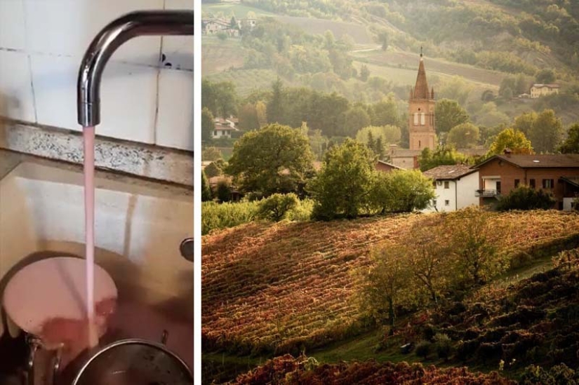 Por qué en Italia el vino fluía de los grifos en lugar de agua