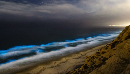 Por qué las aguas de la costa de California se vuelven rojas durante el día y se iluminan con luz azul por la noche Por qué las aguas de la costa de California se vuelven rojas durante el día y se iluminan con luz azul por la noche
