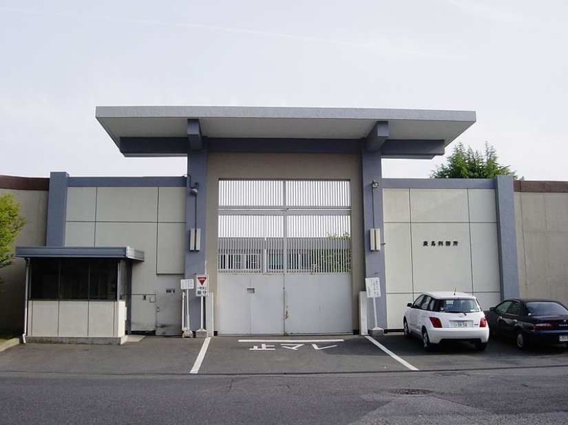 ¿Por qué los japoneses viven más que los demás? ¿Por qué los japoneses viven más que los demás?