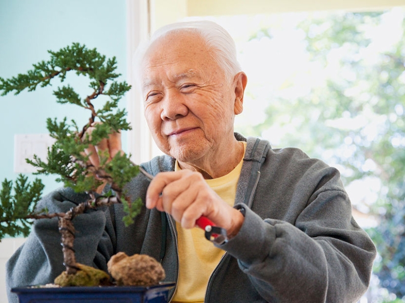 ¿Por qué los japoneses viven más que los demás? ¿Por qué los japoneses viven más que los demás?