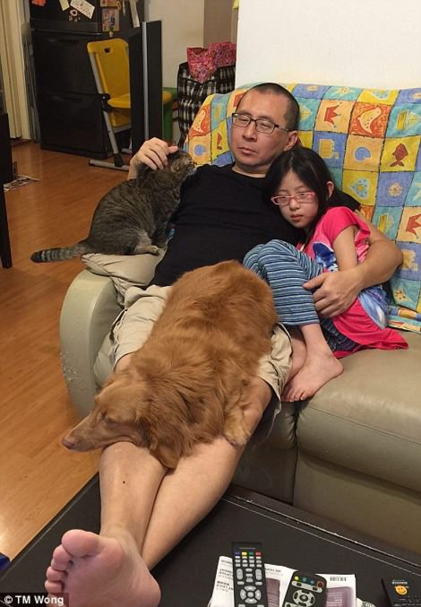 Por qué padre, hija, perro y gato toman la misma foto cada año durante una década