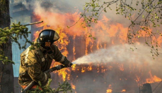 ¿Por qué se queman los bosques? Los expertos nombraron la razón del deterioro de la situación de los incendios en el planeta