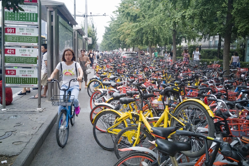 "Pot, don't cook!": how rental bicycles flooded China