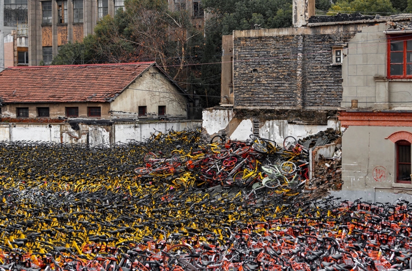"Pot, don't cook!": how rental bicycles flooded China