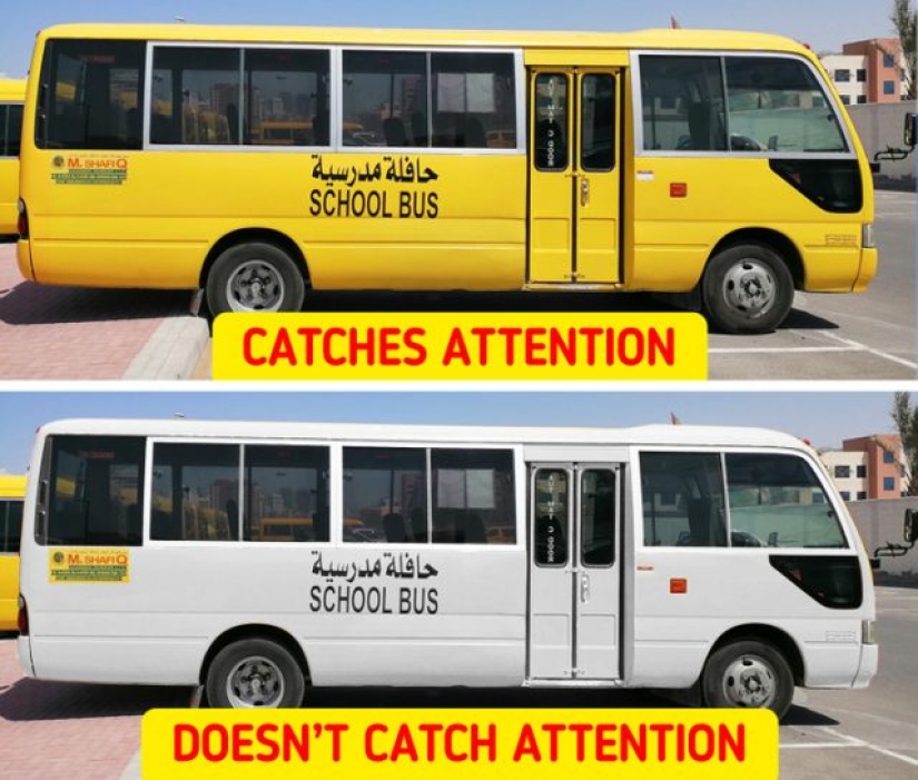 Preguntas infantiles que los adultos no tienen respuesta