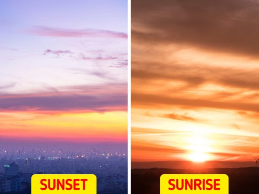 Preguntas infantiles que los adultos no tienen respuesta