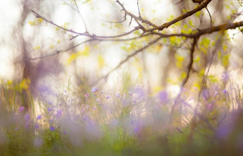 Premiere of the Wildlife Photographers Union Forum — Nature Photo Talks