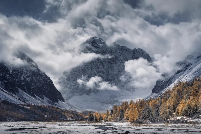 Premiere of the Wildlife Photographers Union Forum — Nature Photo Talks