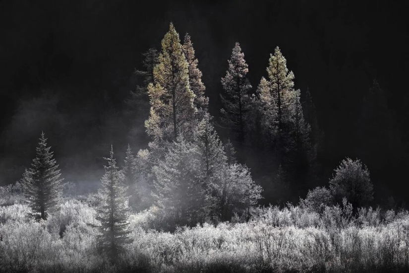 Premiere of the Wildlife Photographers Union Forum — Nature Photo Talks